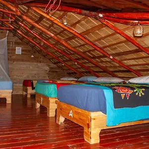 Auberge de jeunesse La Ballena Backpacker République dominicaine